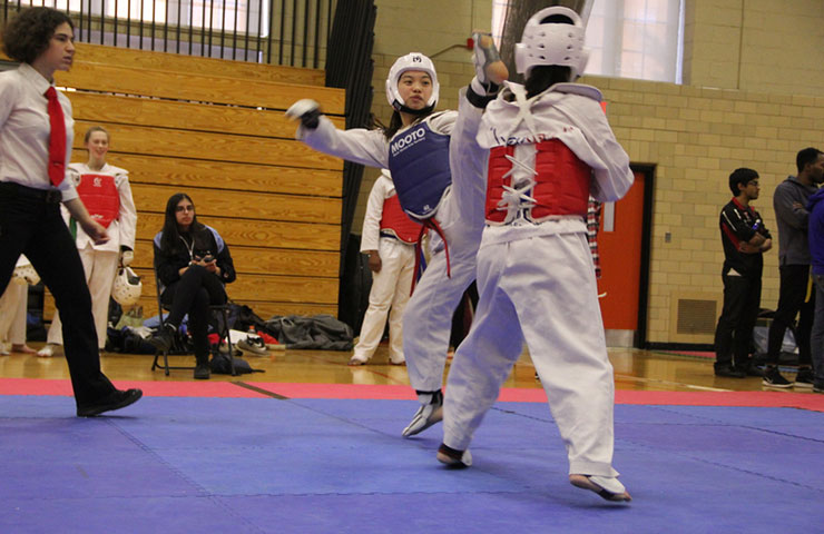 Taekwondo action shot