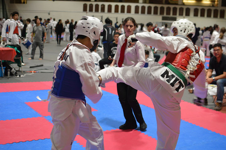 Taekwondo fighters