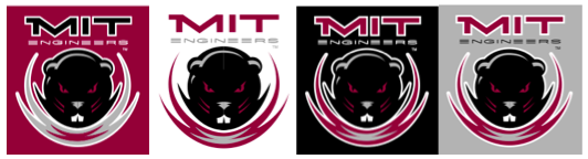 MIT logo variations